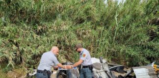 Giugliano, carcasse di auto rubate e cannibalizzate. Scoperto cimitero di auto