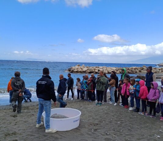 Educazione Ambientale con l'Amp Punta Campanella: coinvolti 250 bambini