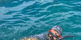 Penisola sorrentina, recuperate 2 tartarughe nel weekend, una era già morta
