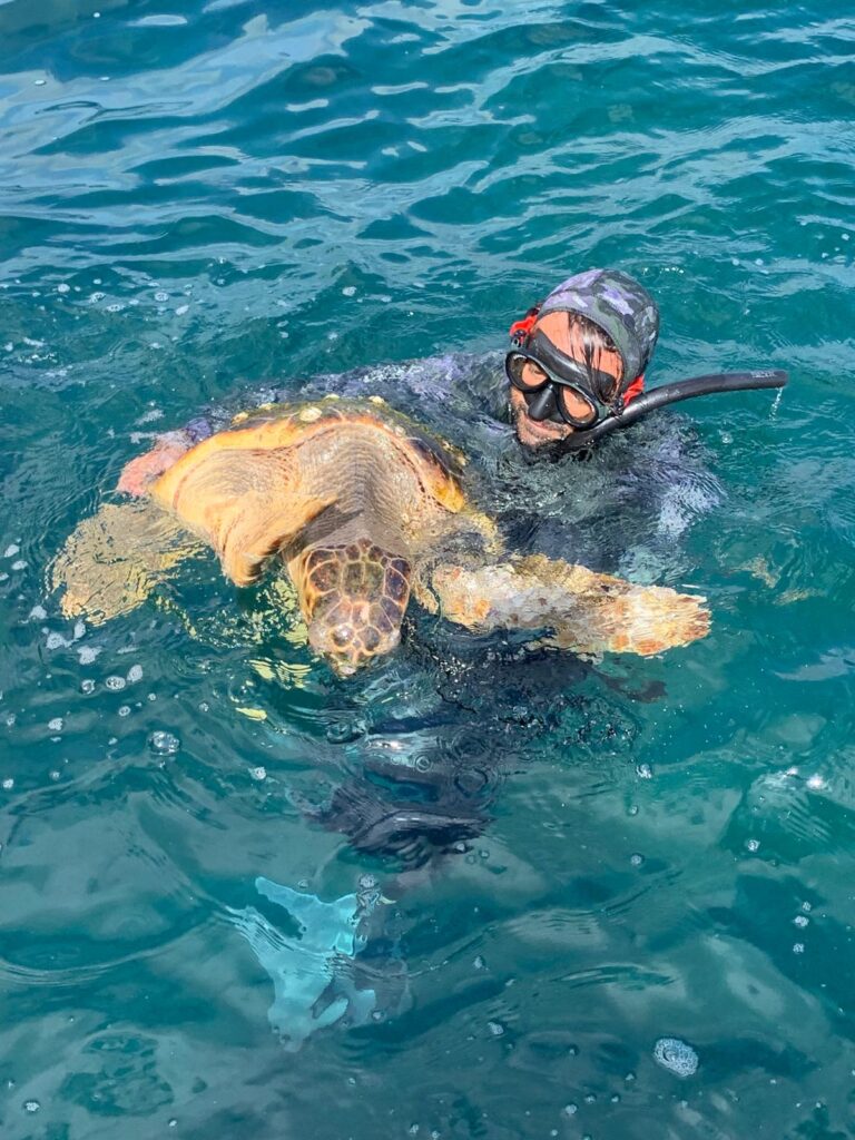 Penisola Sorrentina, recuperate 2 tartarughe nel weekend, una era già morta