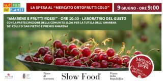 Mercato della Terra slow food di Piano di Sorrento