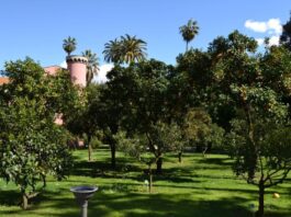Sabato 29 giugno 2024, Real Orto Botanico di Napoli al via Brividi d’Estate 2024