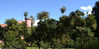 Sabato 29 giugno 2024, Real Orto Botanico di Napoli al via Brividi d’Estate 2024