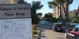 Caivano: Parco Verde, il fiuto di Axel e la prontezza dei Carabinieri svelano piazza di spaccio