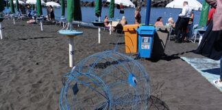 Torre del Greco: sulle spiagge arrivano i pesci-mangiaplastica