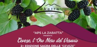 Ottaviano: "Ceveze, l'oro nero del Vesuvio II edizione"