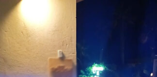 Pozzuoli: controlli alla movida e nei lidi. Una persona arrestata e due imprenditori denunciati