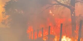 Torre del Greco, incendio all’interno del parco nazionale del Vesuvio