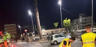 Sorrento, comune in campo con interventi straordinari di disinfestazione nelle strade cittadine