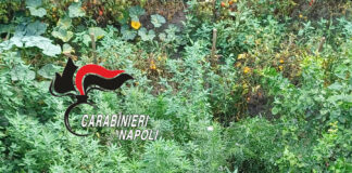 Ercolano: droga, 2 denunce e un sequestro durante i controlli
