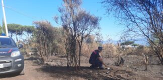 Appicca incendio a Terzigno, scoperto e denunciato dai carabinieri forestali