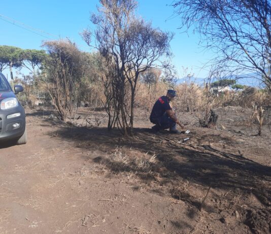 Appicca incendio a Terzigno, scoperto e denunciato dai carabinieri forestali