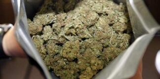 Padre e figlio in manette ad Agerola: 5 buste di marijuana nel locale attrezzi