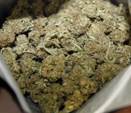 Padre e figlio in manette ad Agerola: 5 buste di marijuana nel locale attrezzi