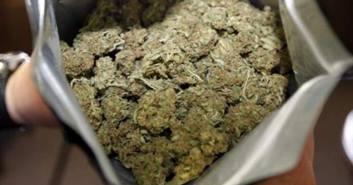 Padre e figlio in manette ad Agerola: 5 buste di marijuana nel locale attrezzi