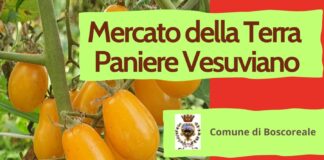 Torna domenica 14 luglio 2024 a Boscoreale il Mercato della Terra