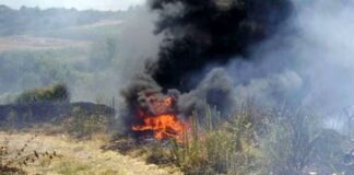 Napoli, bruciano sterpaglie e provocano un incendio boschivo: denunciati i due proprietari