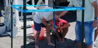 Torre del Greco, azioni a tutela delle tartarughe marine