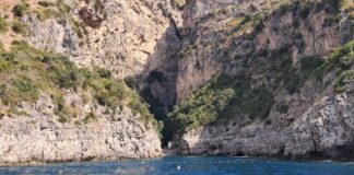 Punta Campanella, la Polizia Municipale in azione nell'area marina protetta