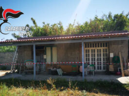 Forio e Barano d’Ischia, abusivismo edilizio. Denunciate 4 persone