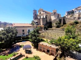 Maiori, rinasce il limoneto del Marchese Mezzacapo: 100 nuove piante innestate da un albero di 300 Anni