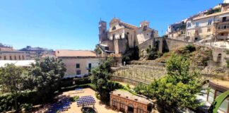 Maiori, rinasce il limoneto del Marchese Mezzacapo: 100 nuove piante innestate da un albero di 300 Anni