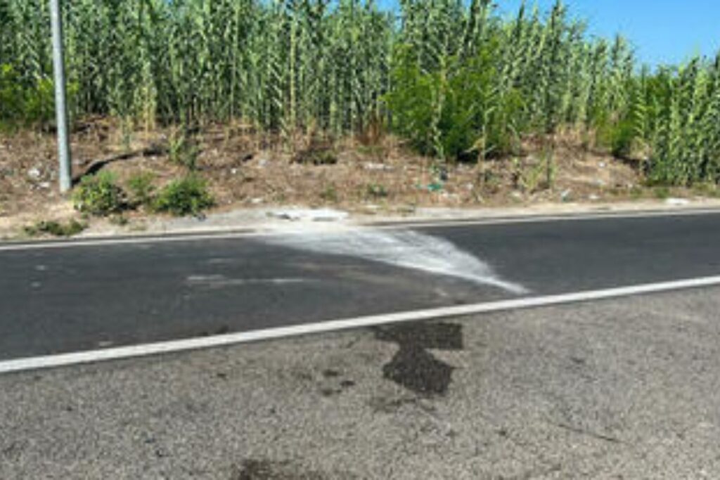 Il ribaltamento dell'auto ha avuto conseguenze drammatiche. La bimba di 8 anni è morta sul colpo
