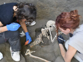 Pompei, rivenuti negli scavi archeologici i resti di altre due vittime dell’eruzione ritrovati nella Regio IX
