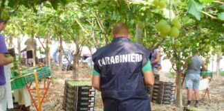 Caivano, lotta al caporalato. Denunciati 2 imprenditori agricoli
