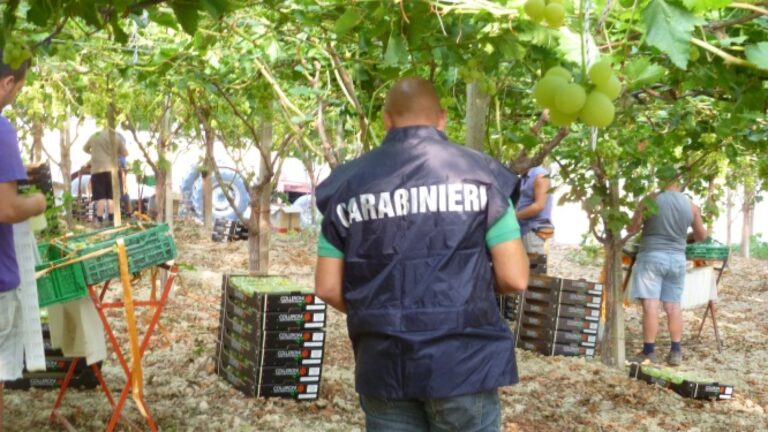 Caivano, lotta al caporalato. Denunciati 2 imprenditori agricoli