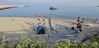 Forio, nella notte nate 87 tartarughine caretta caretta