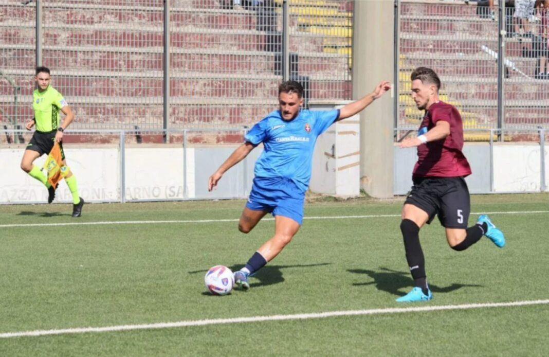 sarnese savoia