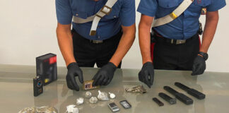 Castellammare e Gragnano, Continuum Bellum: 250 piante di cannabis sequestrate. I controlli alle pendici dei Lattari