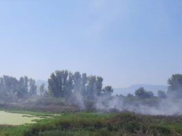 Monitoraggio della qualità dell’aria a San Giuseppe Vesuviano per incendio Vasca del Pianillo