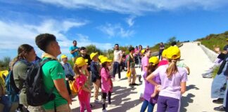 Trecase, Green Summit 2024. Per un Vesuvio Sostenibile