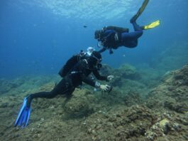 Ambiente, Sorrento ha ospitato la prima edizione di “BioWatching nel Blu”