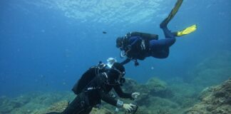 Ambiente, Sorrento ha ospitato la prima edizione di “BioWatching nel Blu”