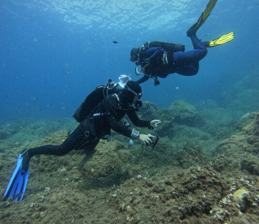 Ambiente, Sorrento ha ospitato la prima edizione di “BioWatching nel Blu”