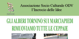 Castellammare, “Gli alberi tornino sui marciapiedi. Rimuoviamo tutte le ceppaie”