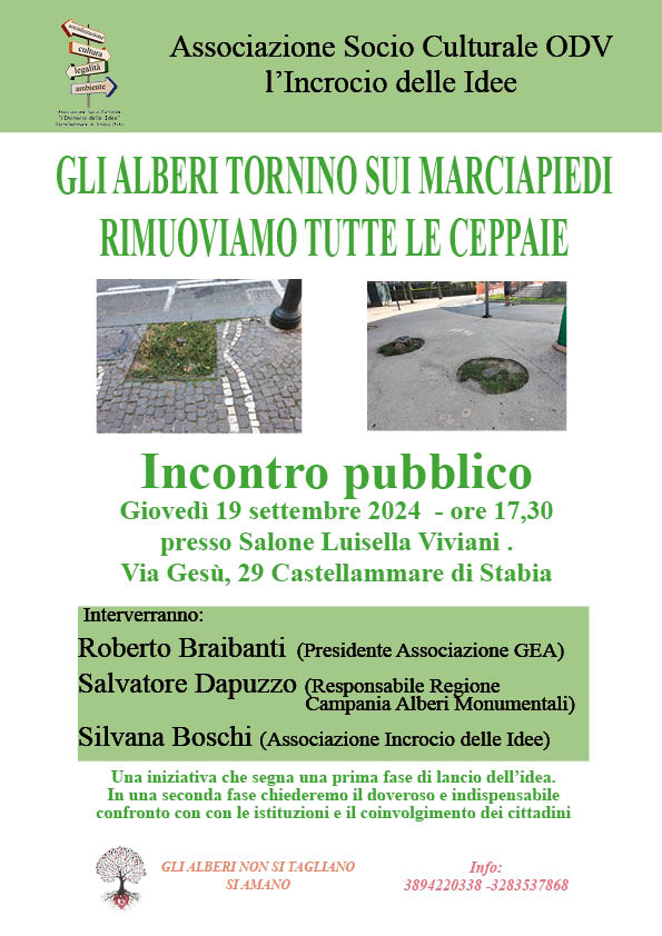 Castellammare, “Gli alberi tornino sui marciapiedi. Rimuoviamo tutte le ceppaie” Castellammare, “Gli alberi tornino sui marciapiedi. Rimuoviamo tutte le ceppaie”