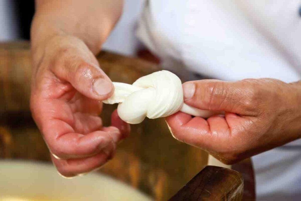 Al via a Napoli il congresso internazionale sulla mozzarella di bufala: appuntamento il 24 e 25 settembre
