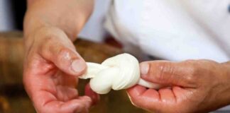 Al via a Napoli il congresso internazionale sulla mozzarella di bufala: appuntamento il 24 e 25 settembre