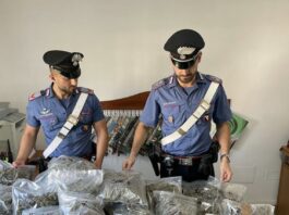 Giugliano e Sparanise: chili di marijuana, armi e munizioni. Arrestate 3 persone