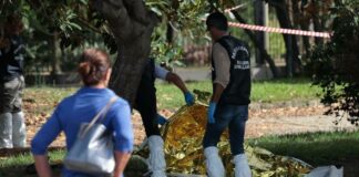 lite tra extracomunitari sgozzato uomo