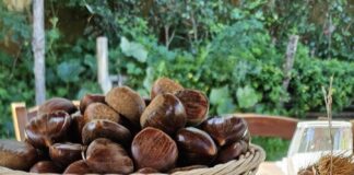 Pimonte, domenica torna "La Castagna del Faito"