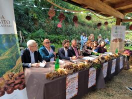 Castagna del Monte Faito: da Pimonte parte il percorso verso il marchio Igp