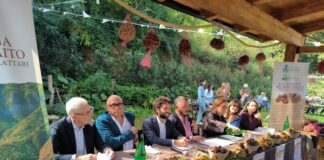 Castagna del Monte Faito: da Pimonte parte il percorso verso il marchio Igp