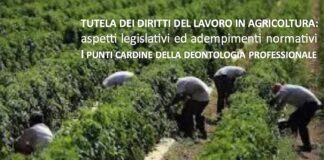 Giornalisti, formazione: un corso deontologico sulla "Tutela dei diritti del lavoro in agricoltura"