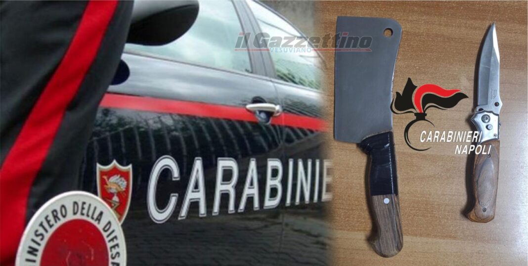 Pollena Trocchia: 13enne in giro con una mannaia: "...dobbiamo difenderci"