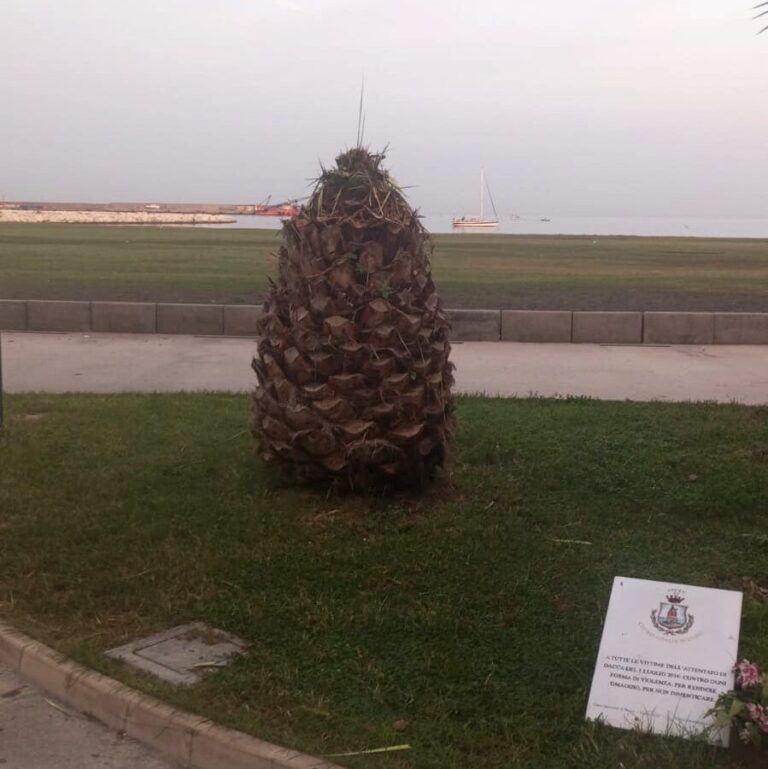 Castellammare, trattamento antiparassitario sulle Palme della Villa Comunale